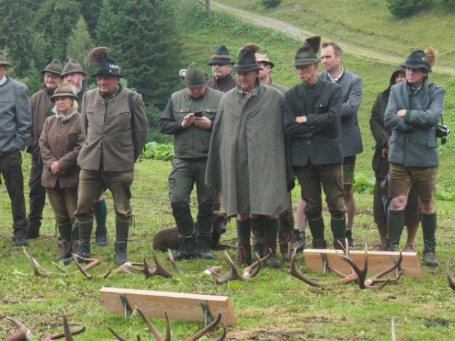 201907 - Abwurfstangenschau Rauschalm